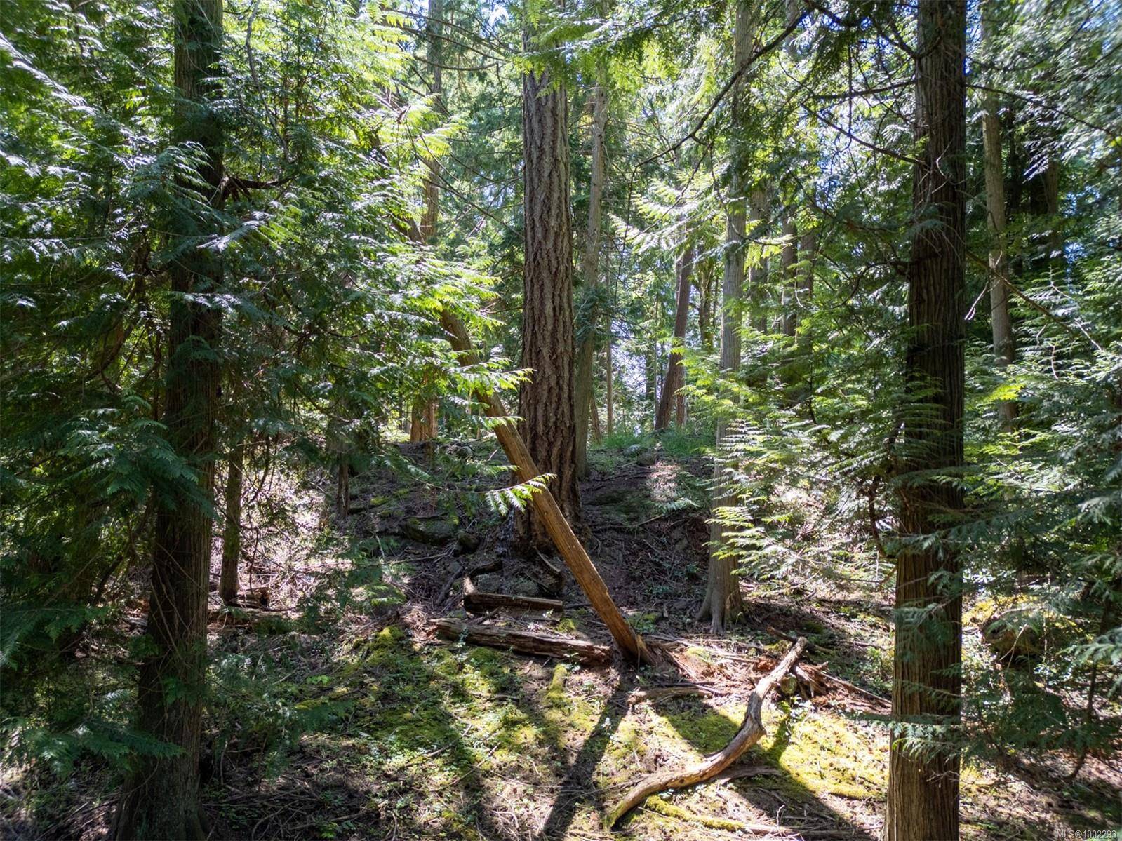 Pender Island, BC V0N 2M2,4849 Pirates Rd
