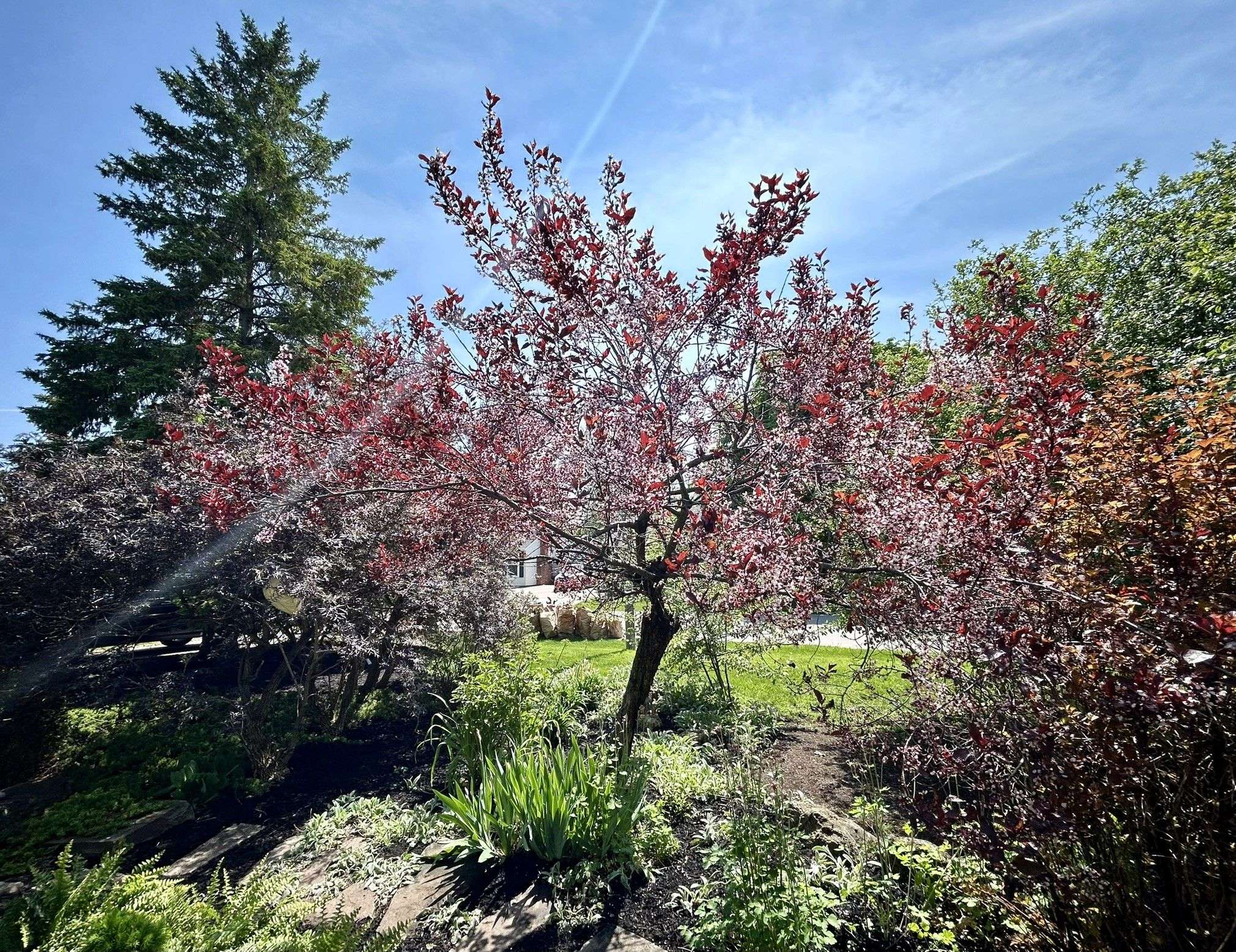Oakville, ON L6H 2A7,1089 Churchill AVE
