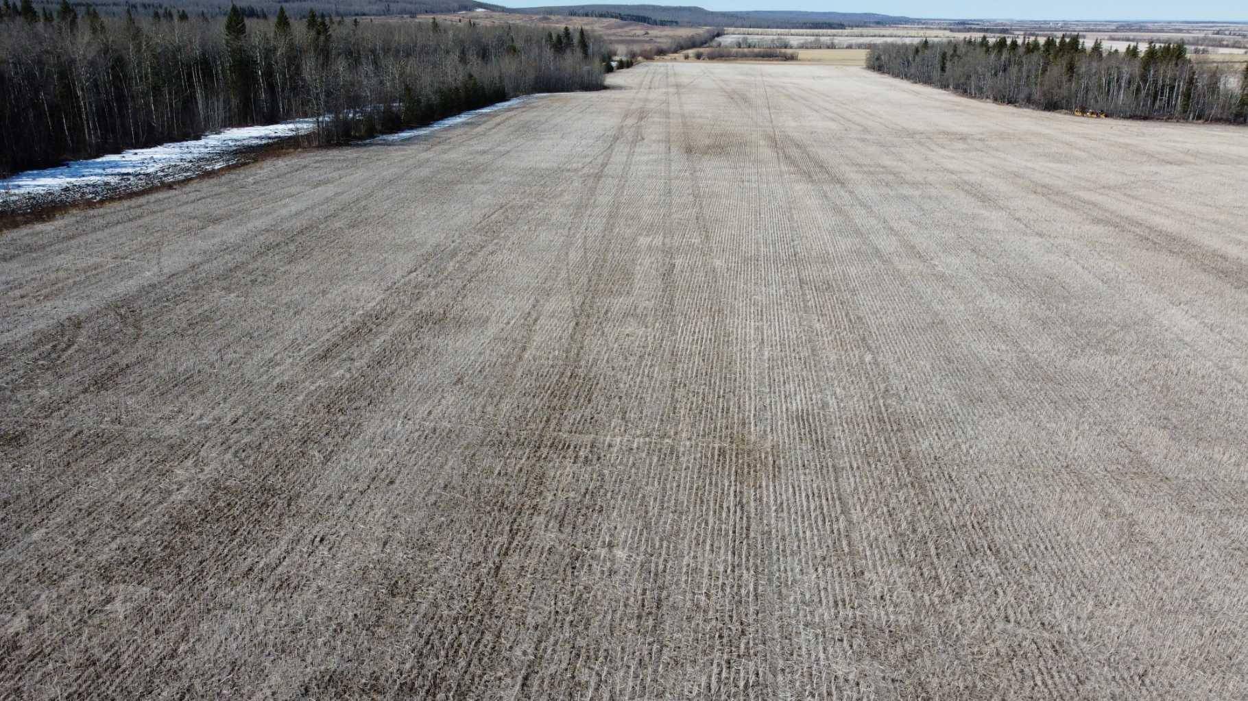 Rural Birch Hills County, AB T0H 3P0,Range Road 23