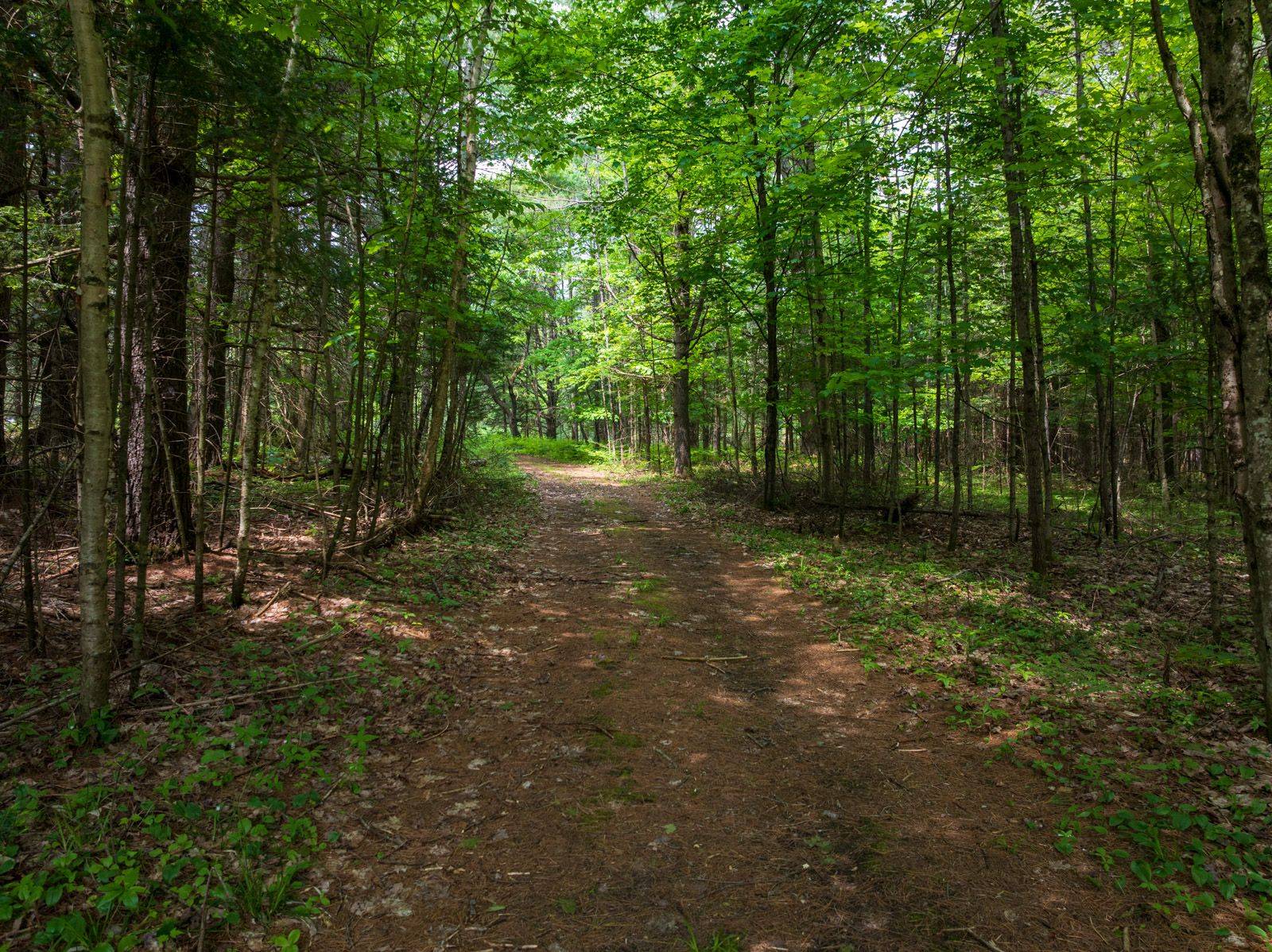 Huntsville, ON P1H 2N5,1216 Ravenscliffe RD