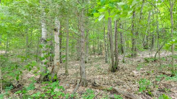 0 Rosseau Lake Rd 1 N/A, Muskoka Lakes, ON P0B 1M0