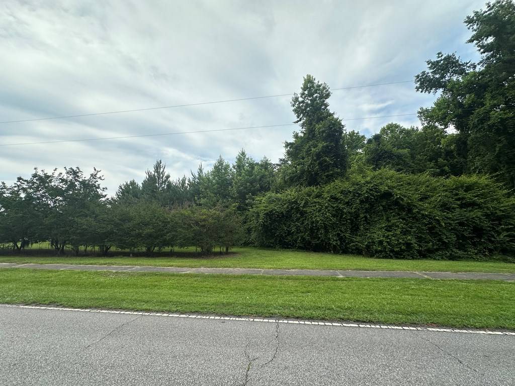 Turbeville, SC 29162,Lot B Atkinson St