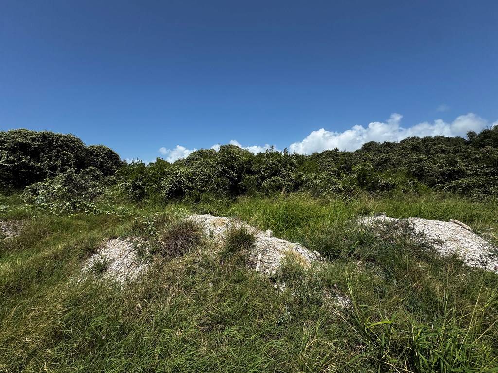 Rockport, TX 78382,705, 709, 713 Litron Street