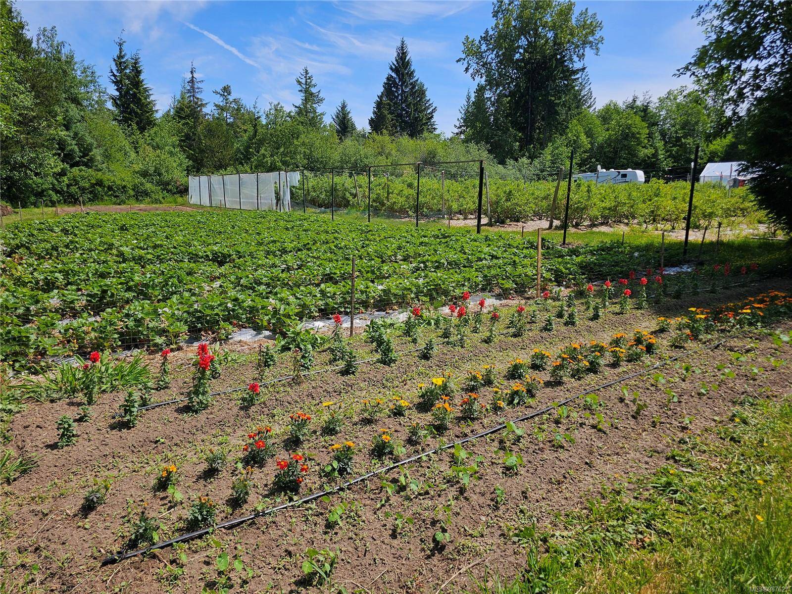 Courtenay, BC V9J 1P2,2156 Coleman Rd
