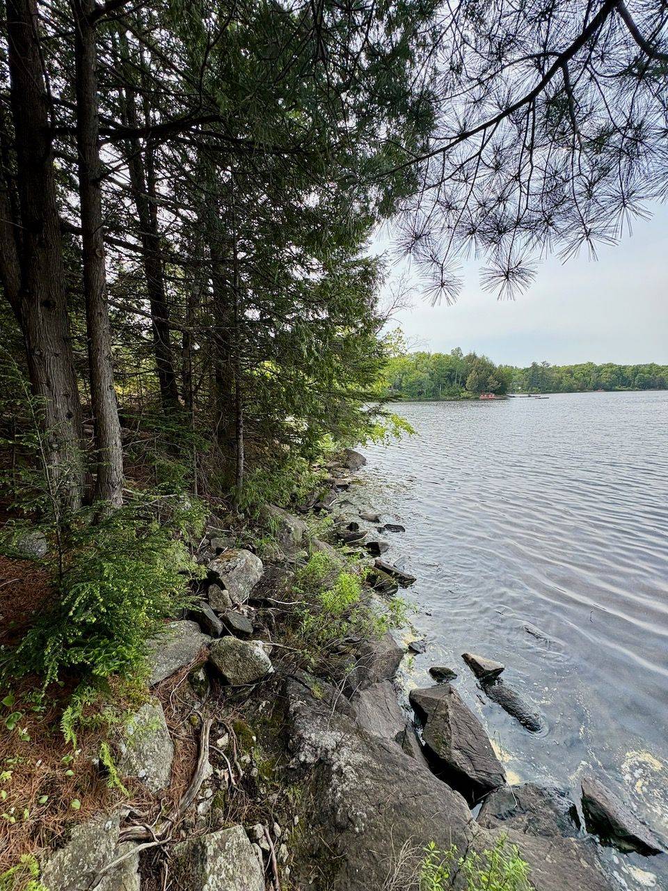 Whitestone, ON P0A 1G0,490 North Meadowcove RD