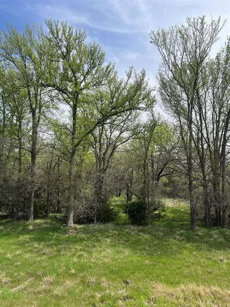 17944 N 16 Highway, Graford, TX 76449