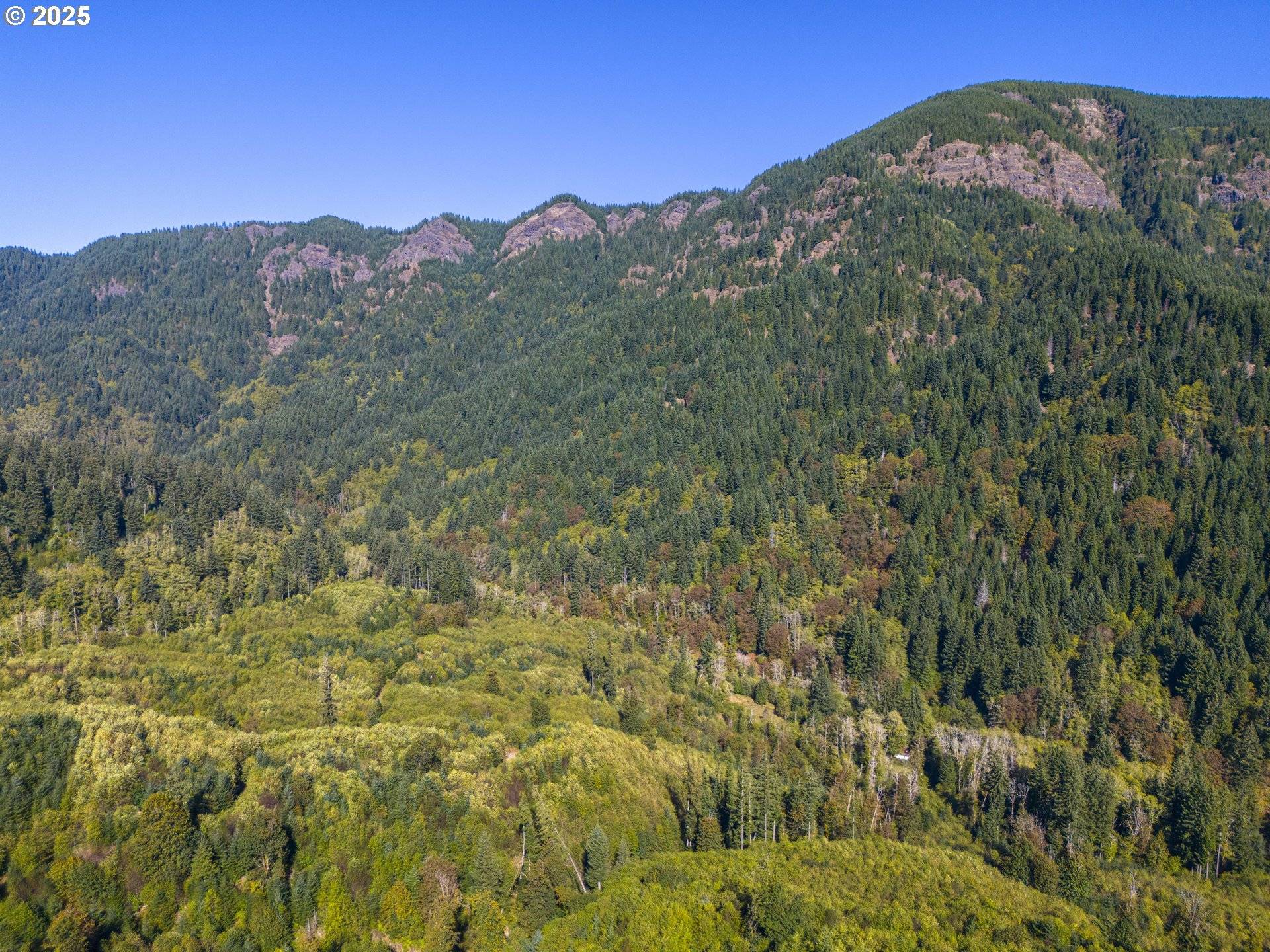 Nehalem, OR 97131,0 Tin Shack Rd