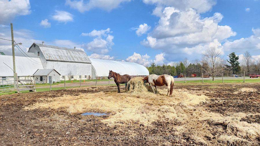 Stone Mills, ON K0K 1Z0,578 BROWN RD