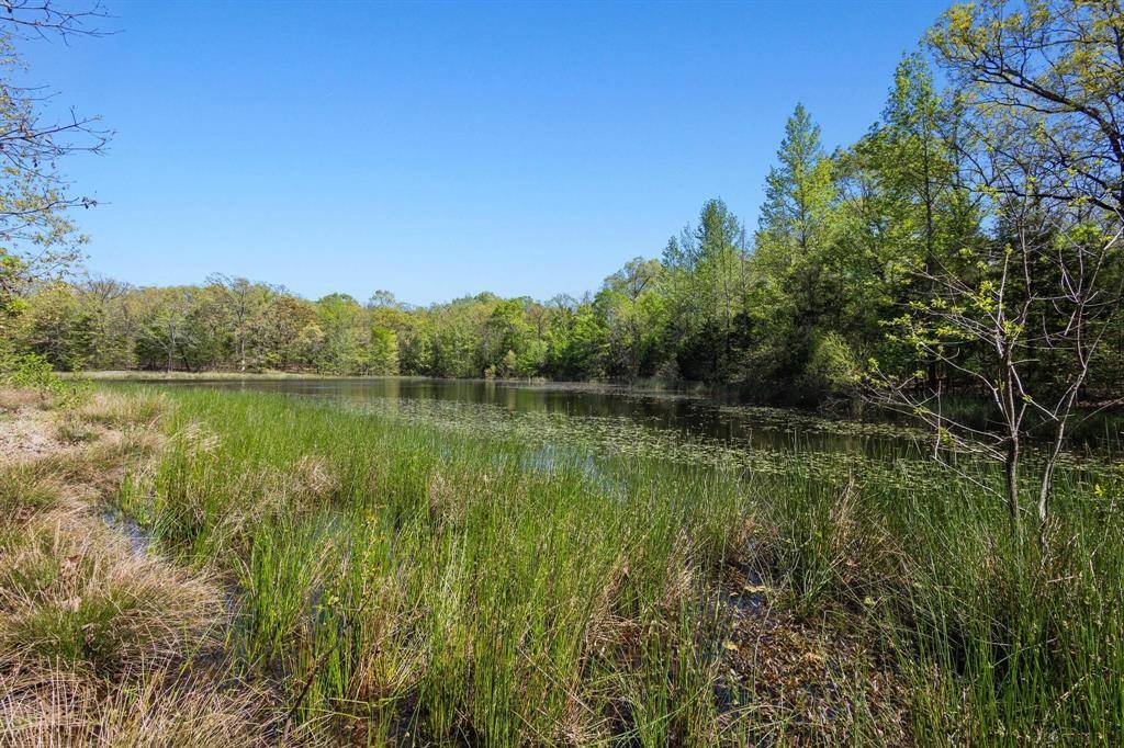 Paris, TX 75462,TBD FR 906 E TX