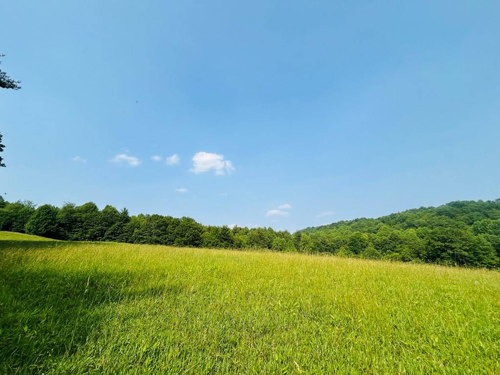 Indian Valley, VA 24380,TBD Shady Grove Road