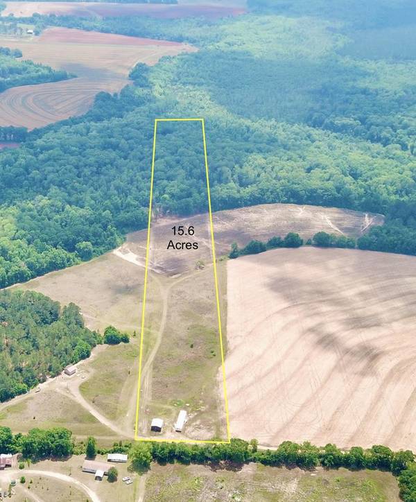 681 Cobb Rd 15.6 Acres, Rehobeth, AL 36301