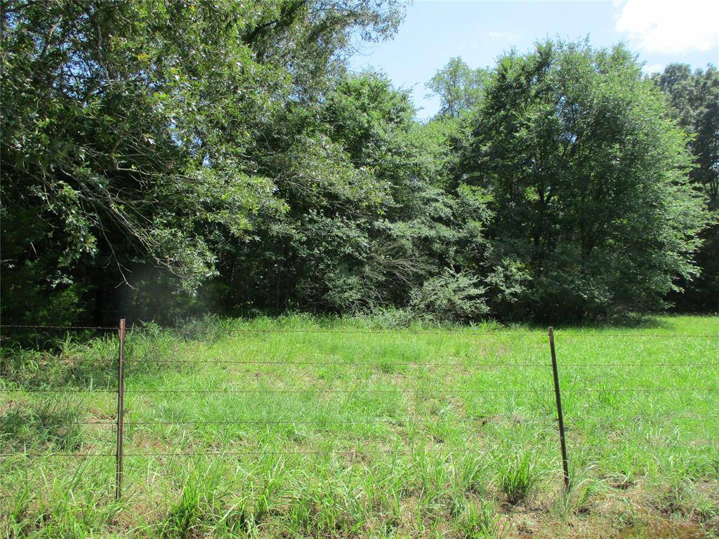 Emory, TX 75440,TBD RS COUNTY ROAD 2400