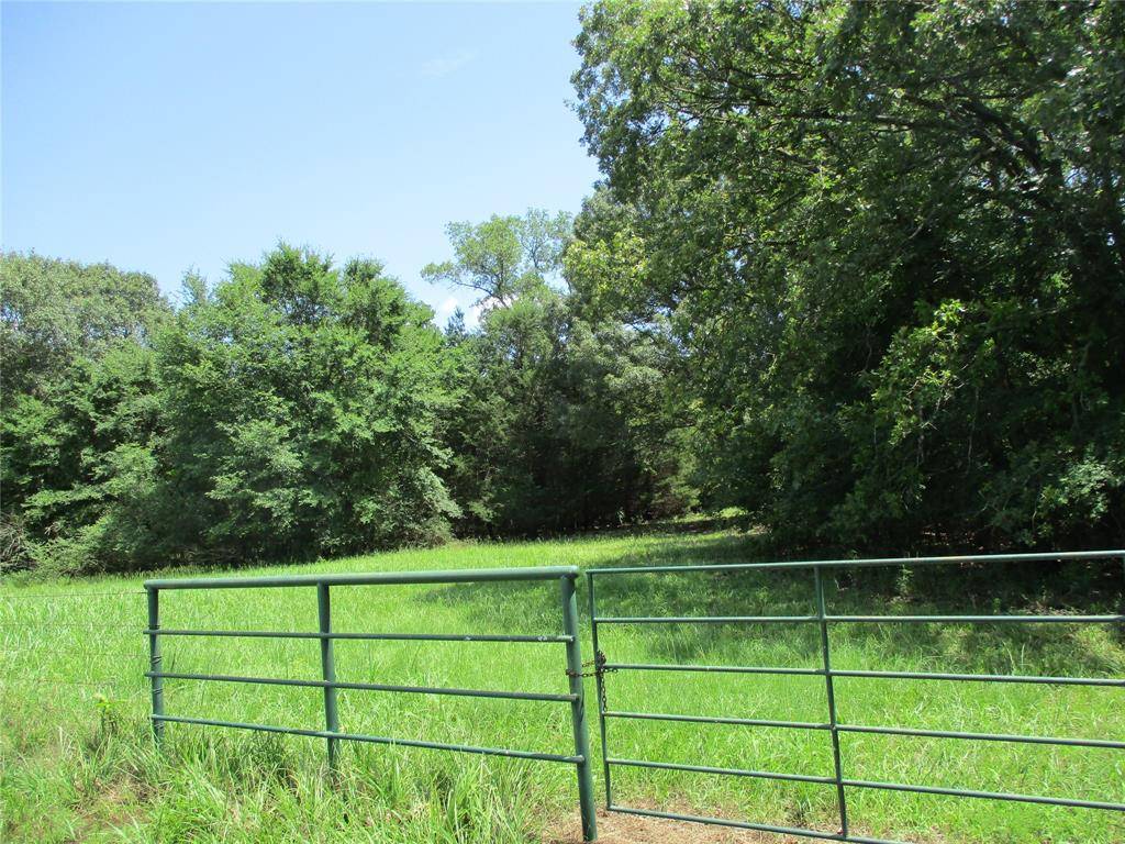 Emory, TX 75440,TBD RS COUNTY ROAD 2400