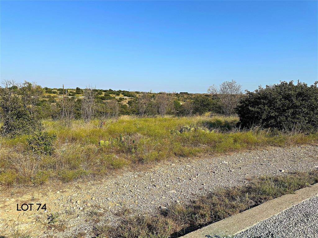 Graford, TX 76449,TBD Pinehurst Drive