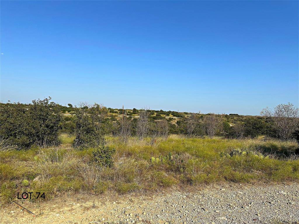 Graford, TX 76449,TBD Pinehurst Drive