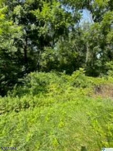 80-84 Route 519, Pohatcong Twp., NJ 08865