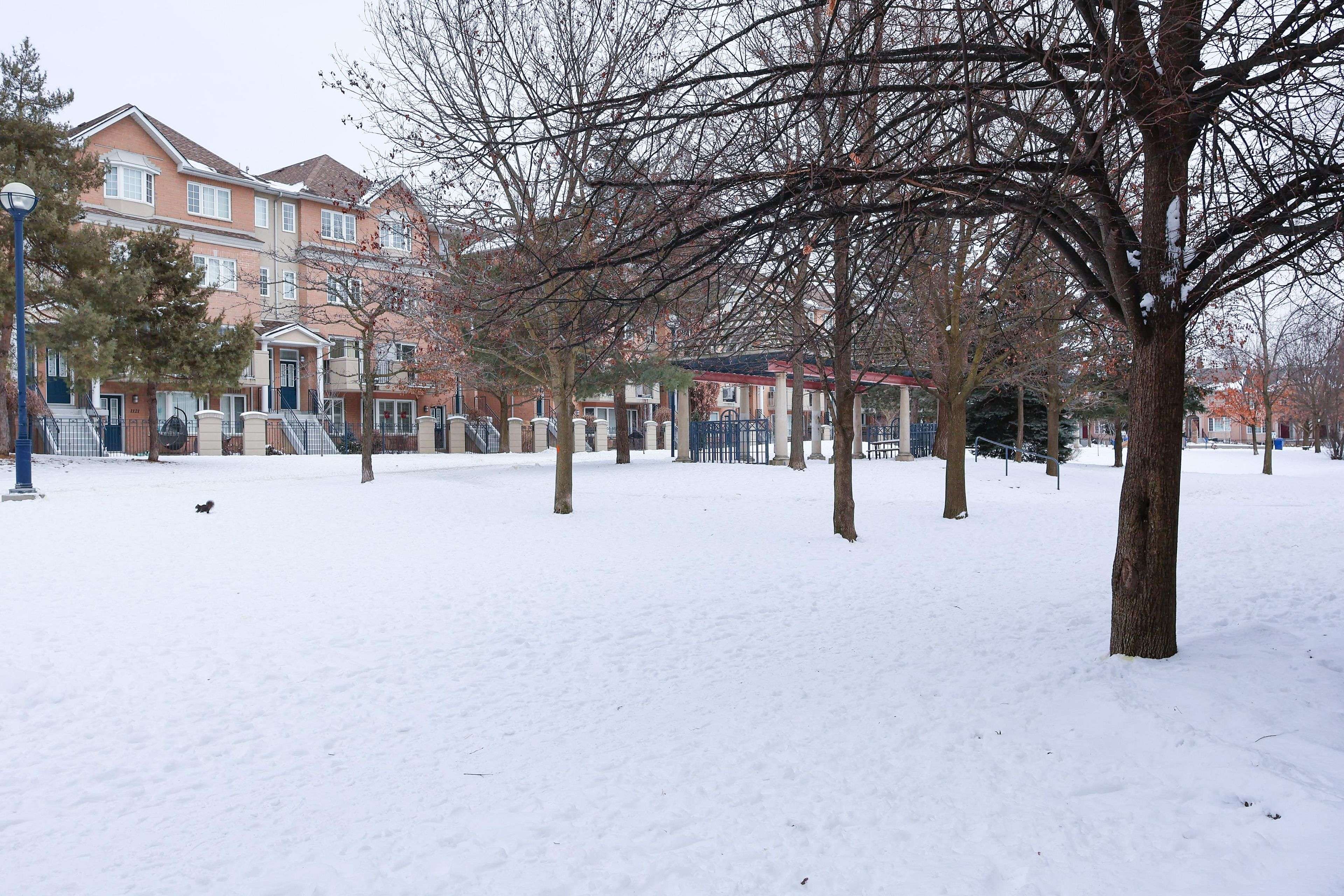 Toronto C14, ON M2N 6V5,821 Grandview WAY