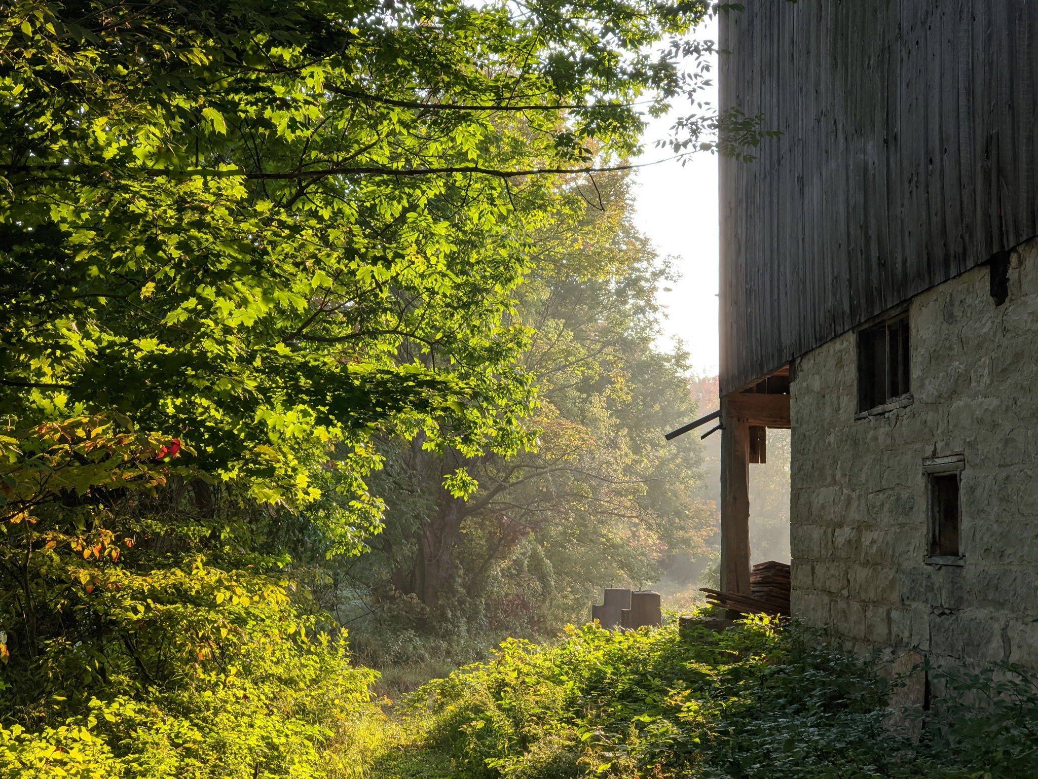 Chatsworth, ON N0H 2V0,215588 CONCESSION 4 N/A