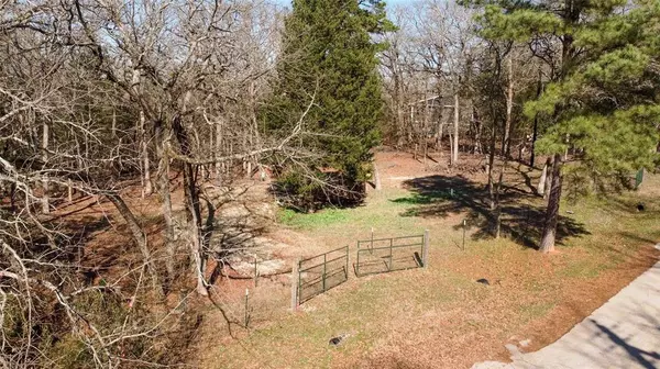 Murchison, TX 75778,407, 411 Long Shadow