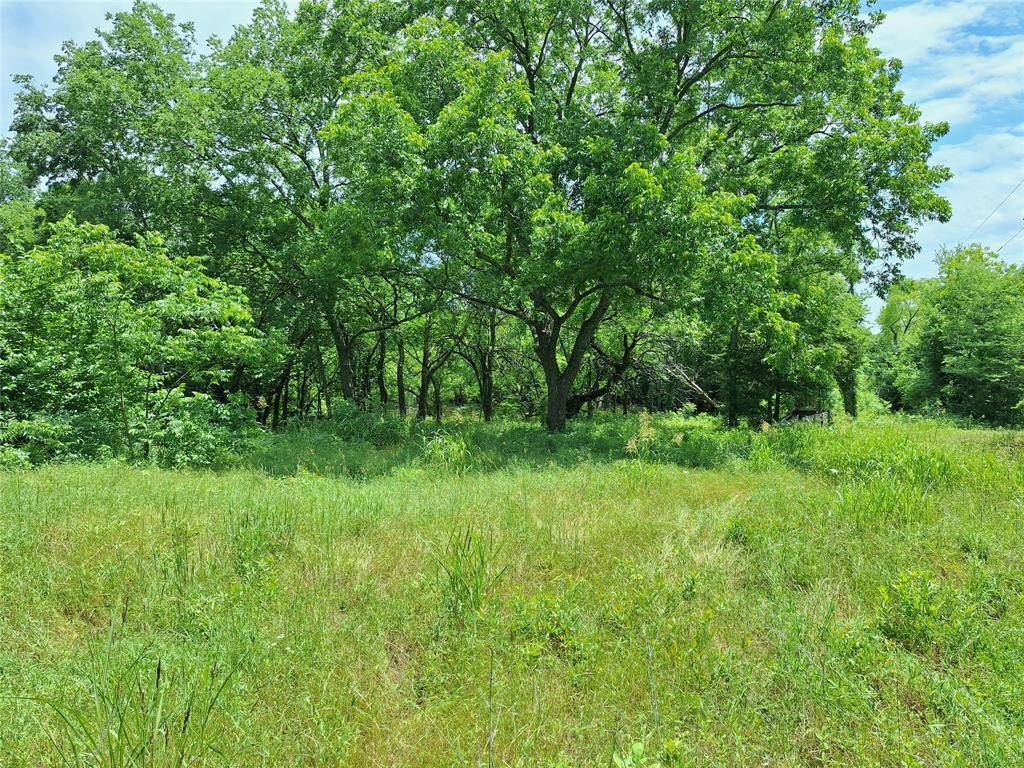 Dodd City, TX 75438,2403 County Road 3210