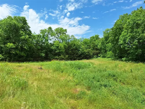 Dodd City, TX 75438,2403 County Road 3210