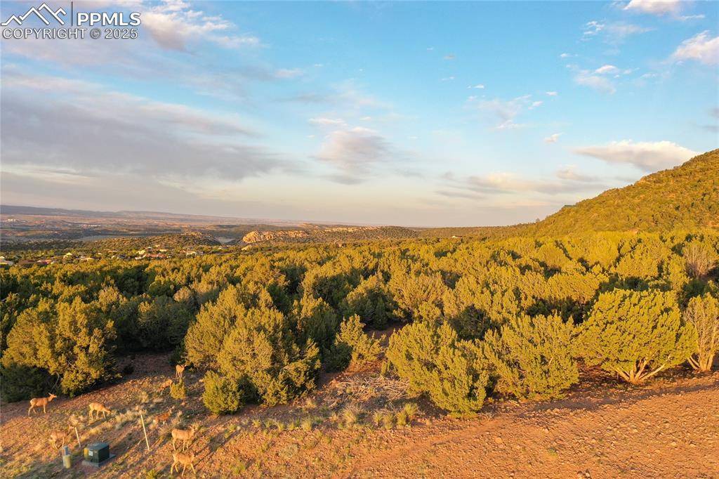 Canon City, CO 81212,528 Greenhorn DR