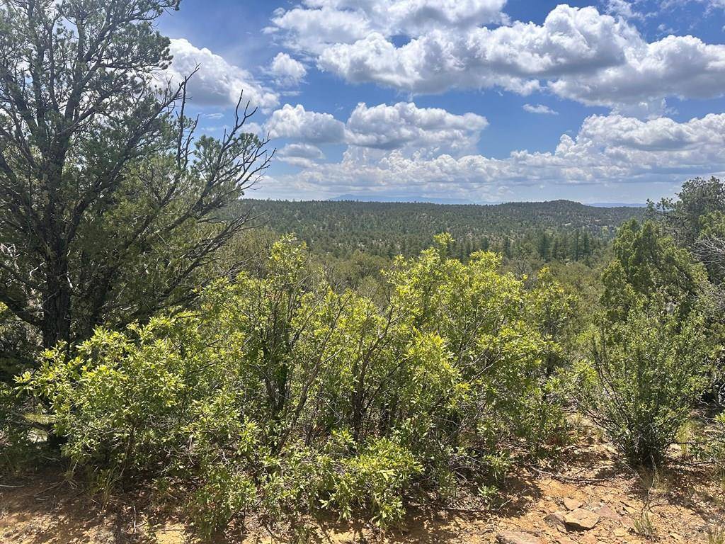 Bon Carbo, CO 81082,TBD El Toro Way