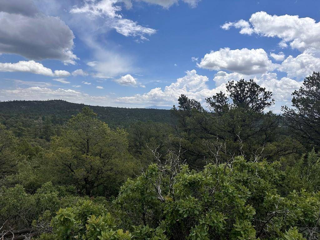 Bon Carbo, CO 81082,TBD El Toro Way