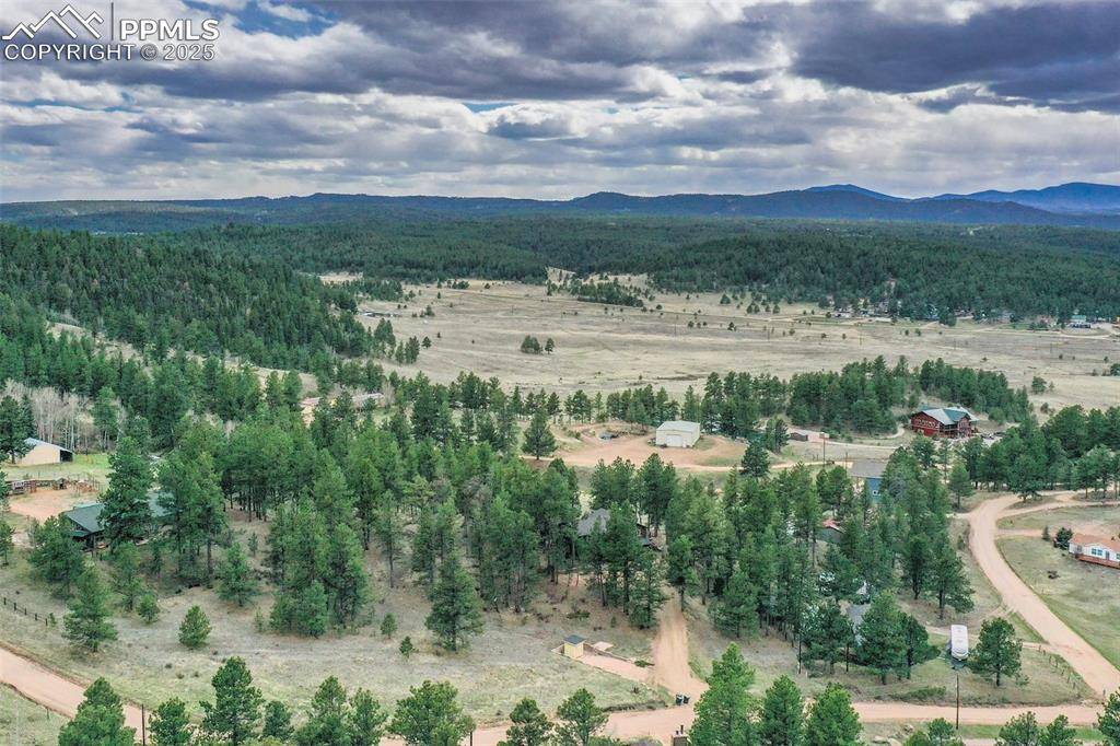 Florissant, CO 80816,517 Crystal Peak RD