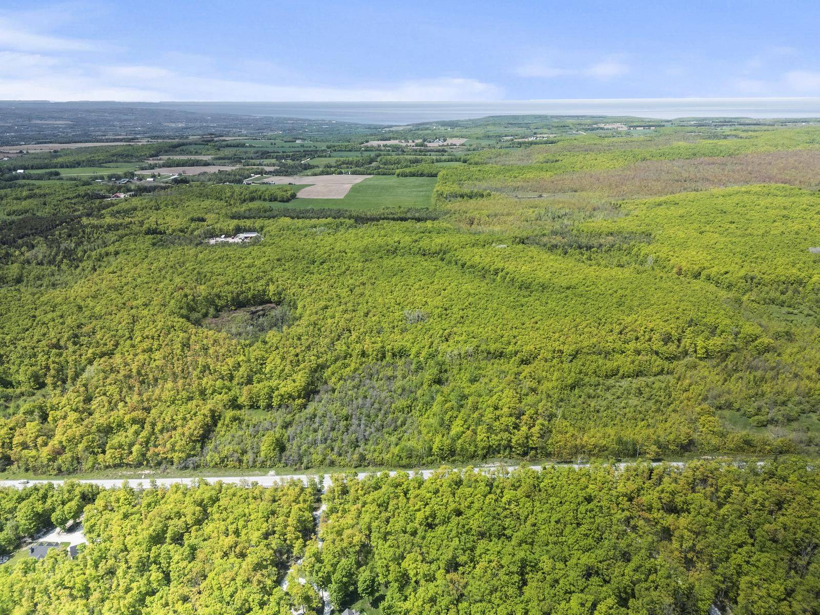 Blue Mountains, ON N0H 2E0,589141 Grey County Rd. 19 N/A