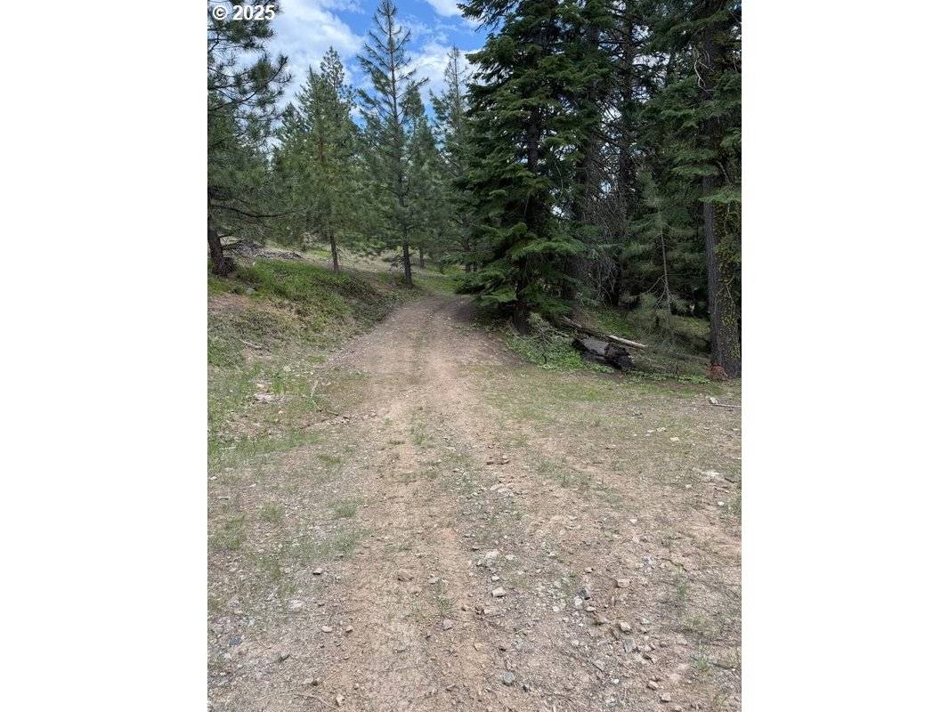 0000 Greenhorn RD, Greenhorn, OR 97877