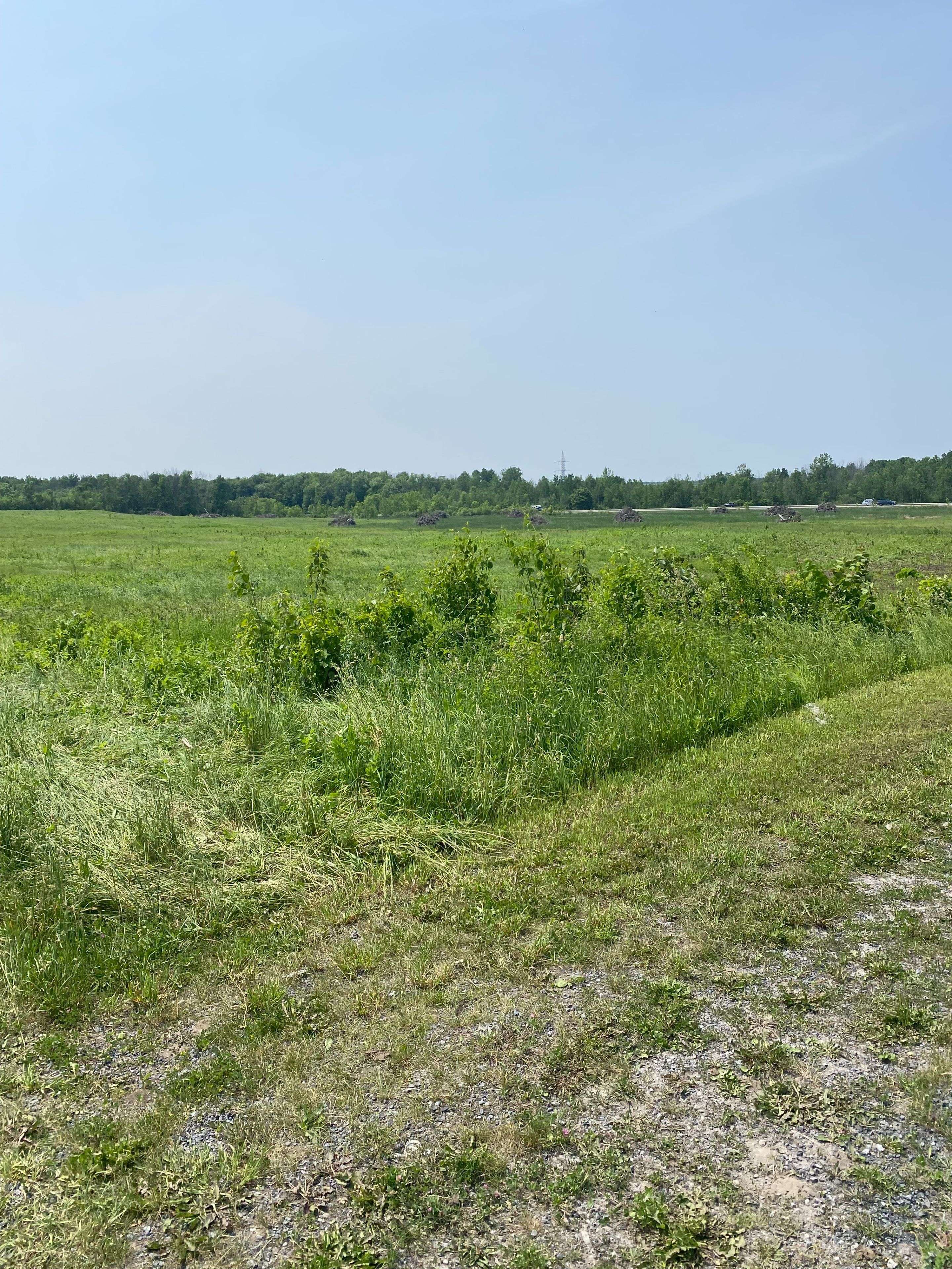LOT Airport RD E, South Glengarry, ON K0C 2E0