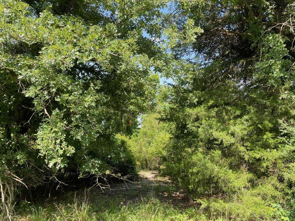 TBD LCR 794, Groesbeck, TX 76687