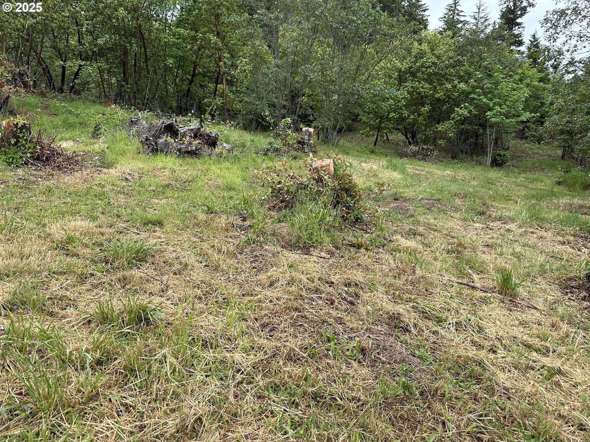Canyonville, OR 97417,0 HILL DR