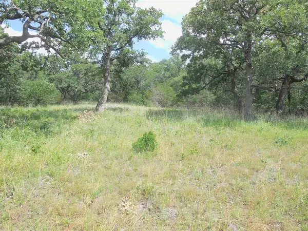 Ranger, TX 76470,TBD County Road 340