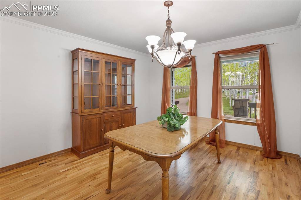 Woodland Park, CO 80863,407 Oxford LN