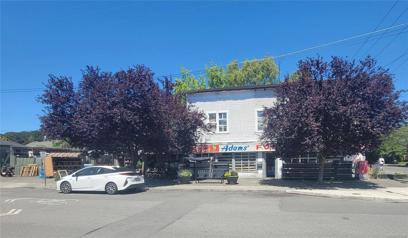 1442 Haultain St, Victoria, BC V8R 2J9