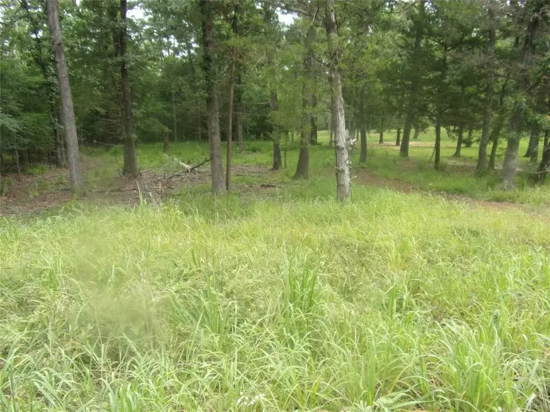 944 Whipporwill, Murchison, TX 75778