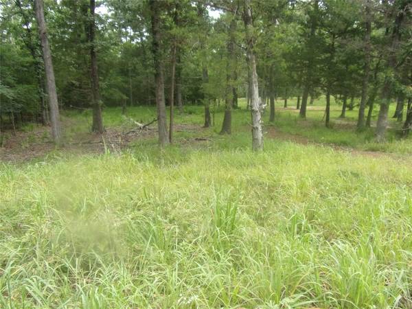 944 Whipporwill, Murchison, TX 75778