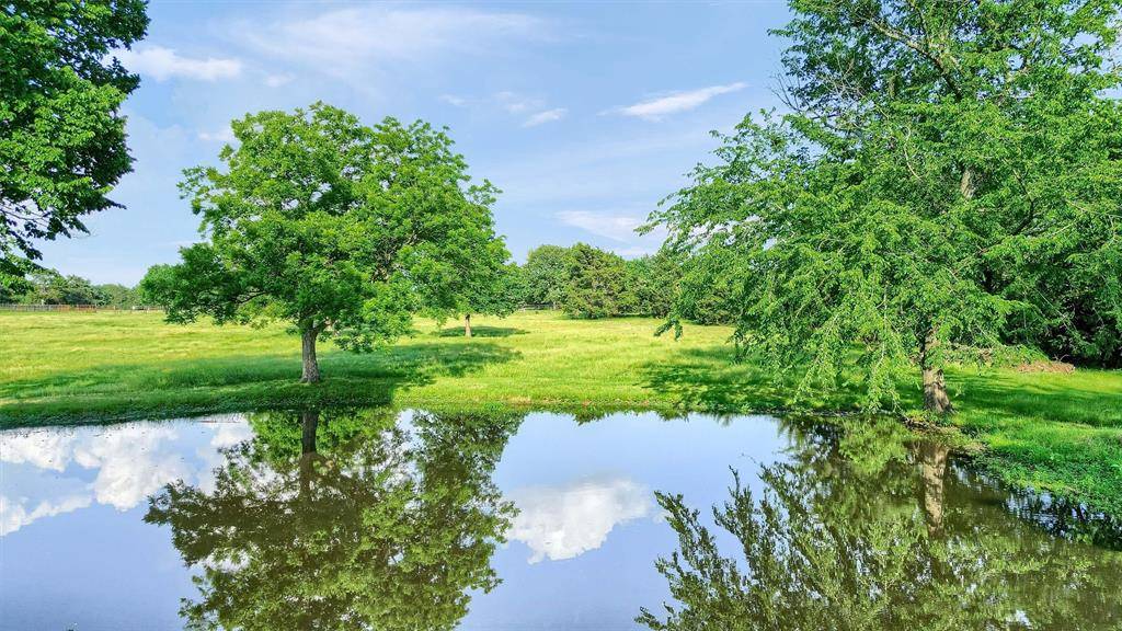 TBD FM 2645, Savoy, TX 75479