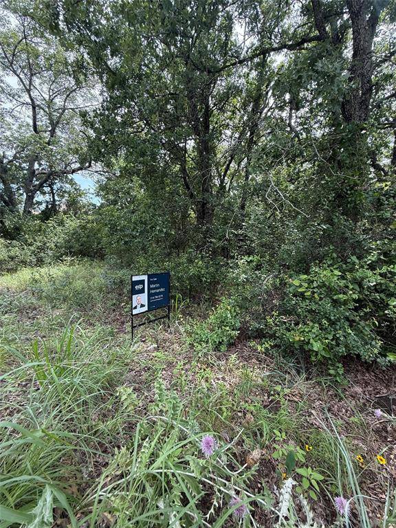 Runaway Bay, TX 76426,103 Timber Trail #6