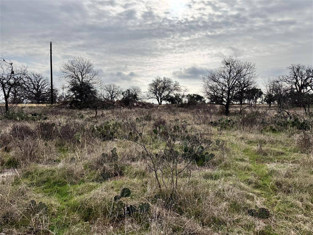 Brownwood, TX 76801,TBD Lot 355 Feather Bay Drive