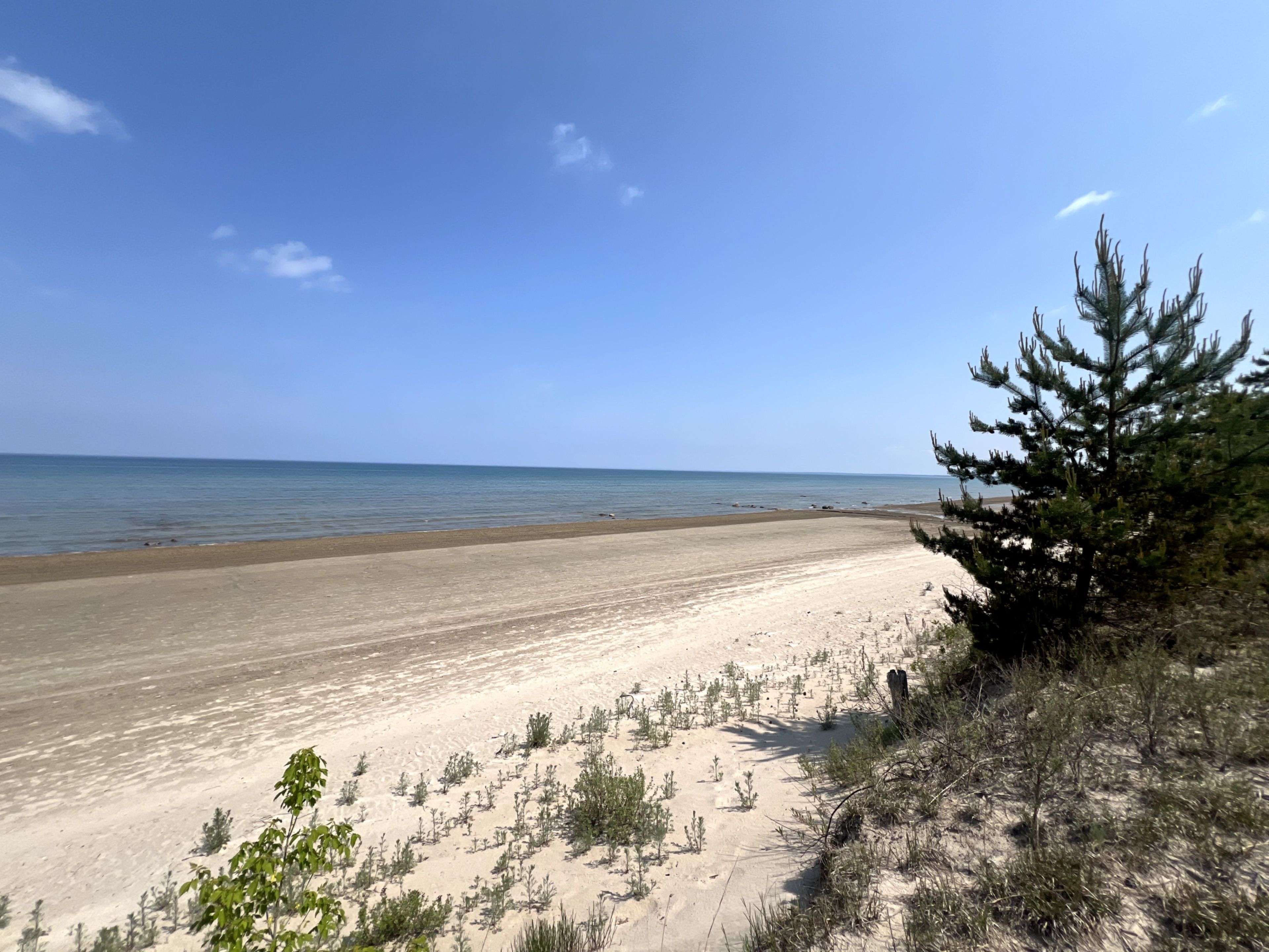 Wasaga Beach, ON L9Z 1W3,1554 Shore LN