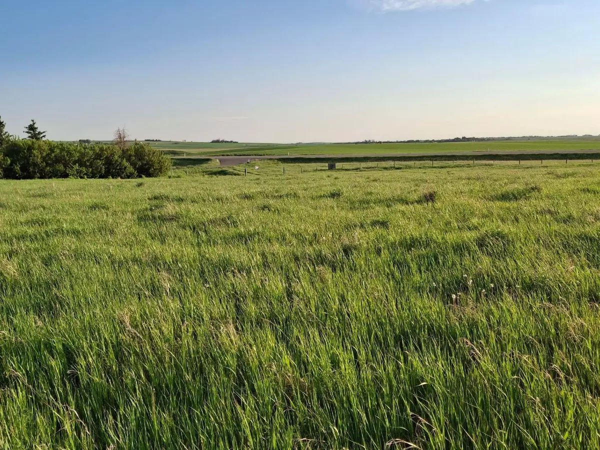 Rural Wheatland County, AB T1P 1K7,Hwy 21