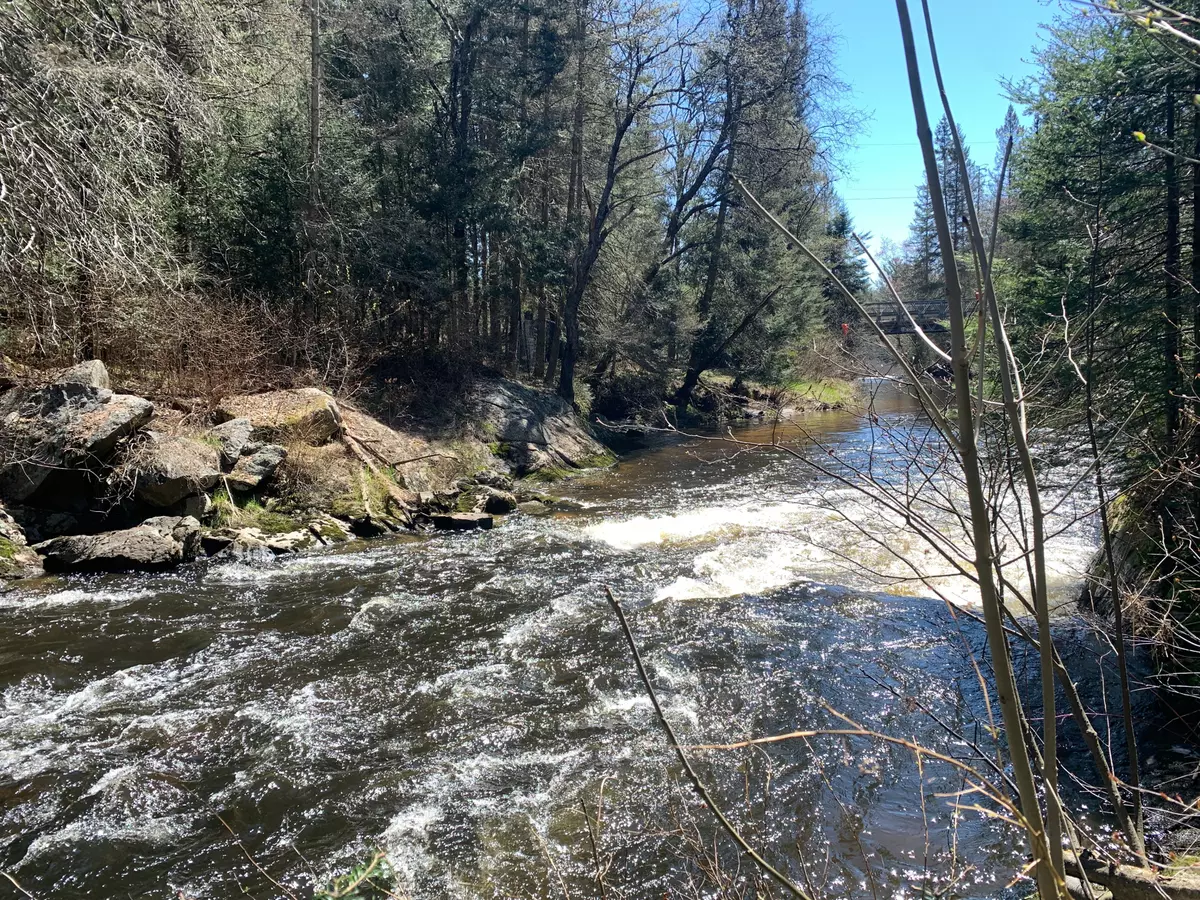 Strong, ON P0A 1Z0,322 Sterling Falls RD