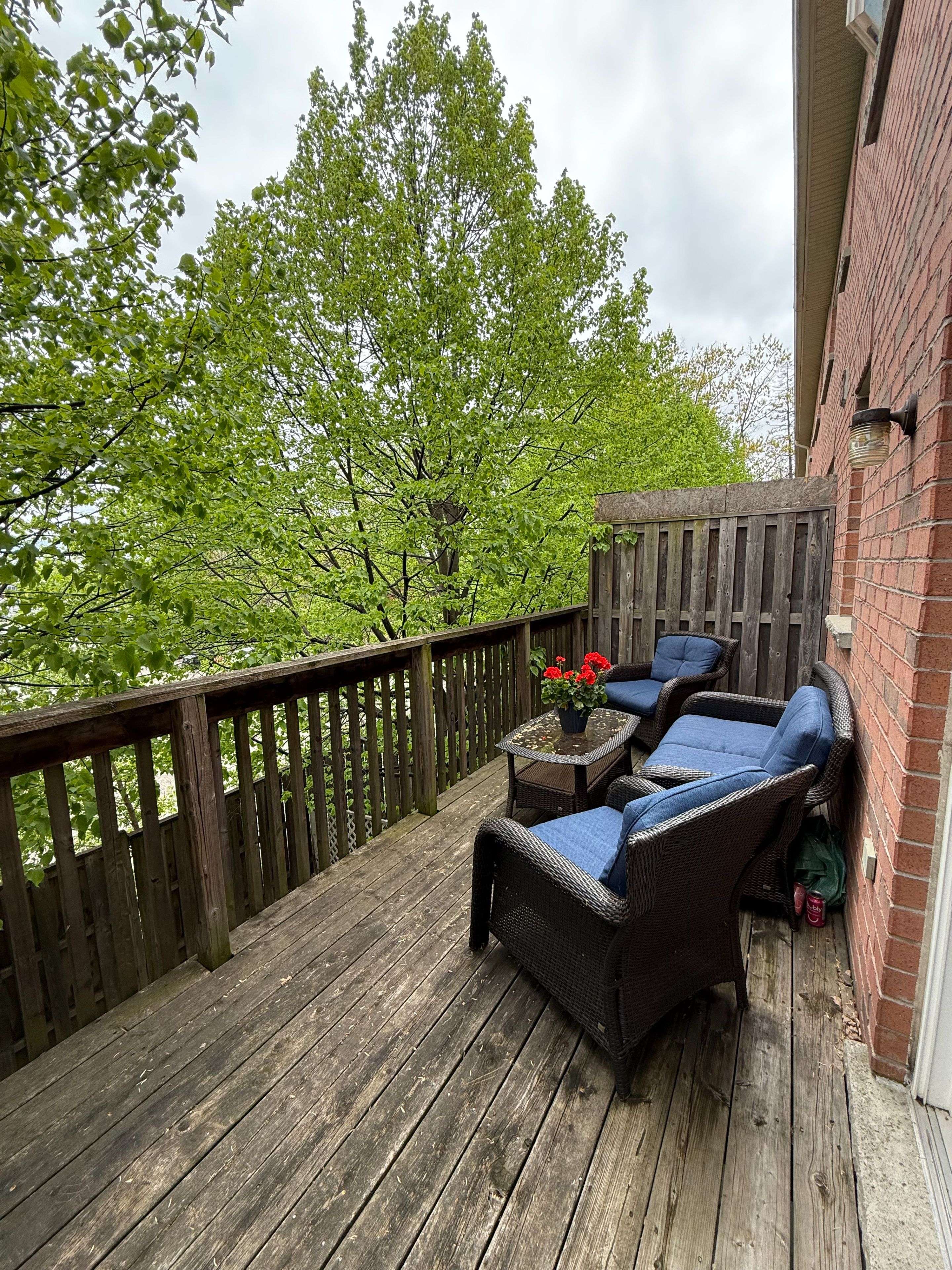 Mississauga, ON L4Y 0B1,3211 Joel Kerbel PL