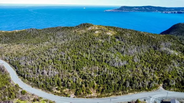 Flatrock, NL A1k1C3,000 Windgap Road