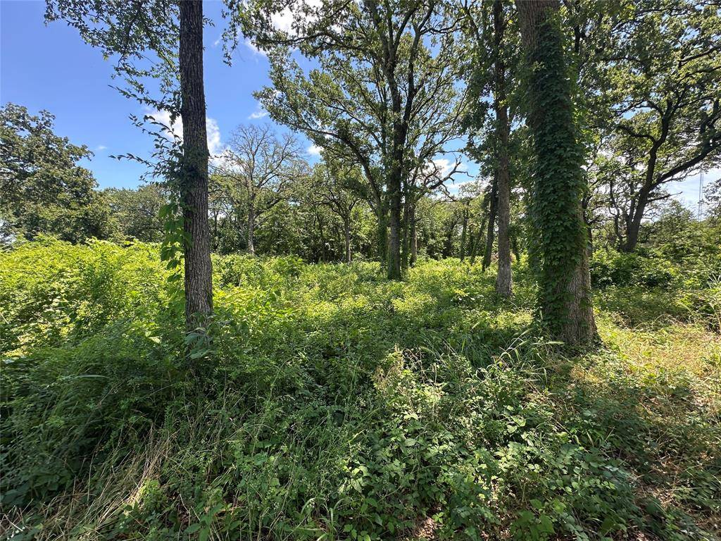 Sulphur Springs, TX 75482,0000 Country Club Road