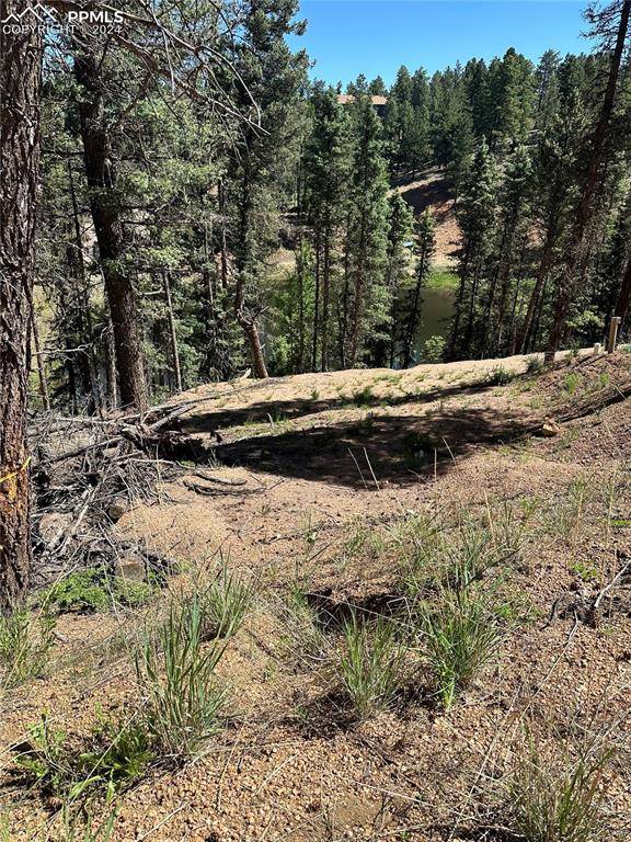 Florissant, CO 80816,67 Gerka LN