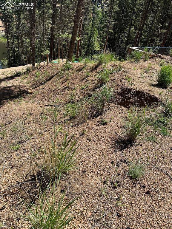 Florissant, CO 80816,67 Gerka LN